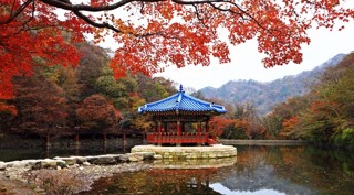 Du lịch Hàn Quốc 4 ngày 3 đêm